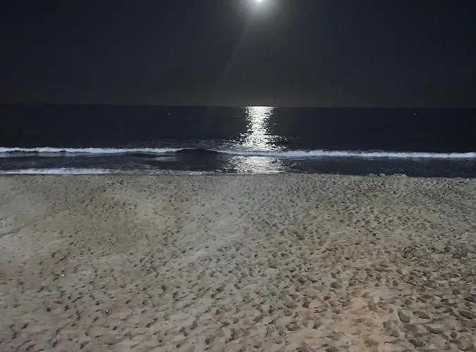 Atico Playa Muchavista - El Campello
